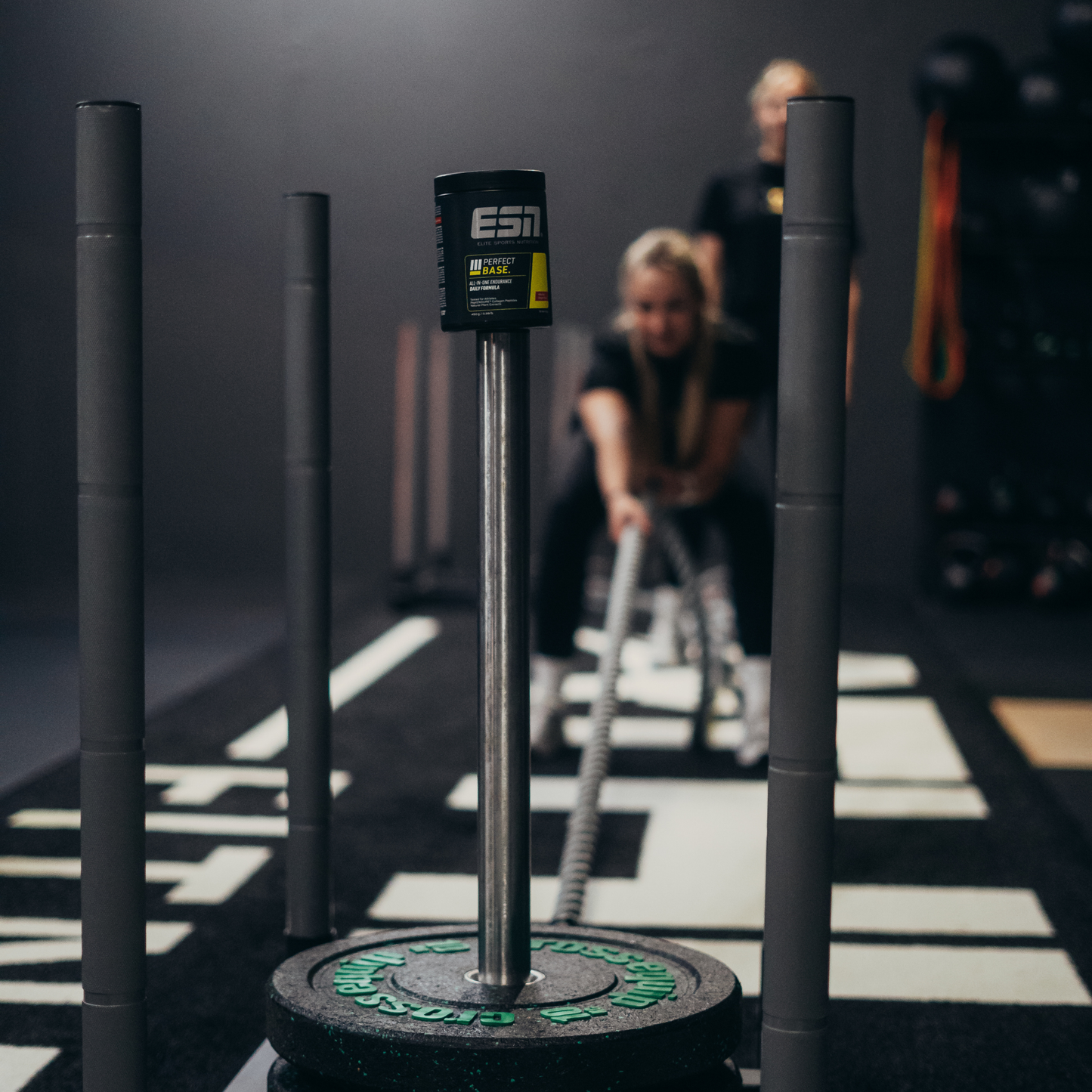 ESN Endurance Line Perfect Base 450g