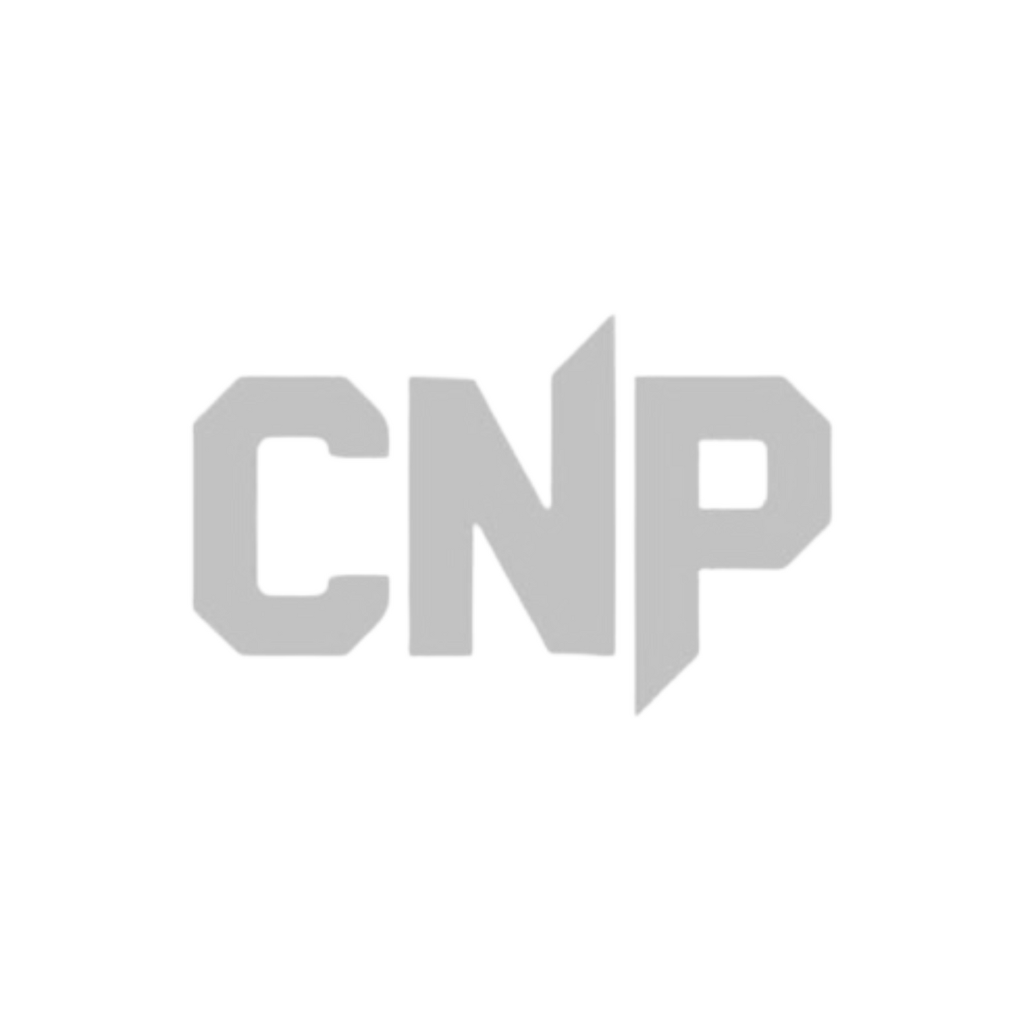 Logo CNP Professional