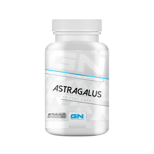 GN LABORATORIES Astragalus 90 Kapseln