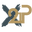P21 Club logo