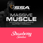 SSA SUPPLEMENTS Massive Muscle Protein